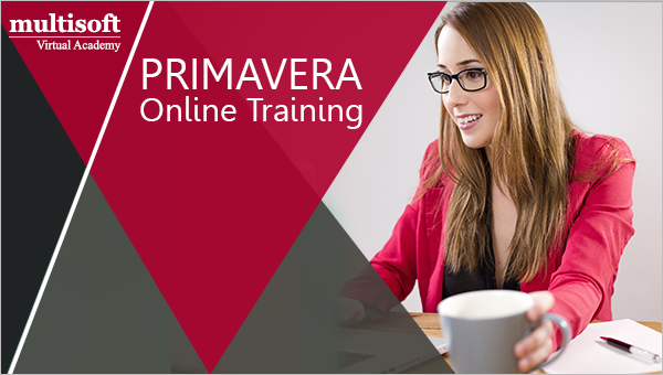 What is Primavera P6? Learn the Basics, Know the Fee Structure.
