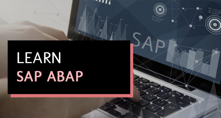SAP® ABAP Course for The Beginners
