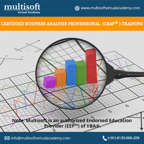 Business Analysts for Company’s Success