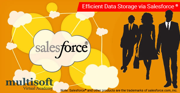 Getting Hold on Salesforce® Backup