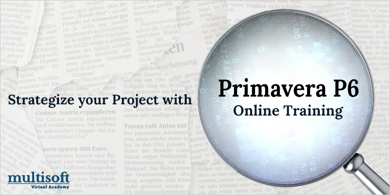 Strategize your Project with Primavera® P6 Online Training