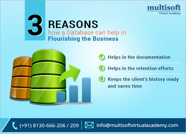 3 reasons how a Database can help in flourishing the business