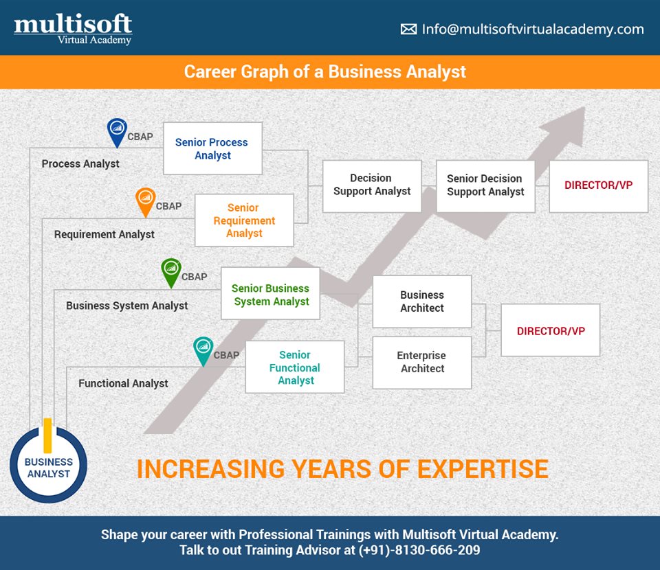 Career Graph of a Business Analyst