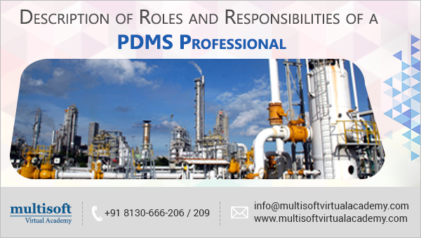 Description of Roles and Responsibilities of a PDMS Professional