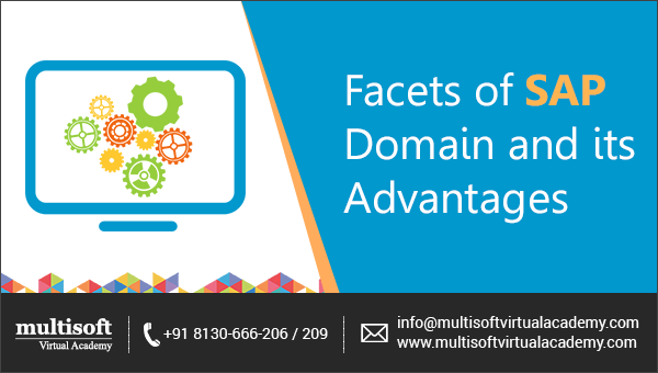 Facets of SAP Domain and its advantages