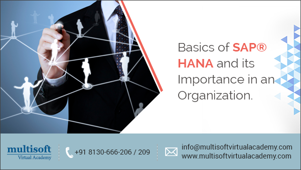 Basics of SAP HANA and its importance in an organization