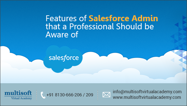 Features of Salesforce Admin that a Professional Should be Aware of