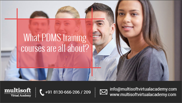 What PDMS training courses are all about?