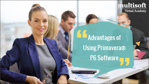 Advantages of Using Primavera® P6 Software