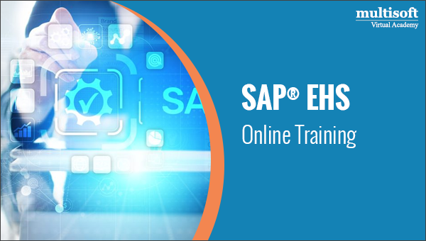 How Can One Learn Best SAP EHS Online Training