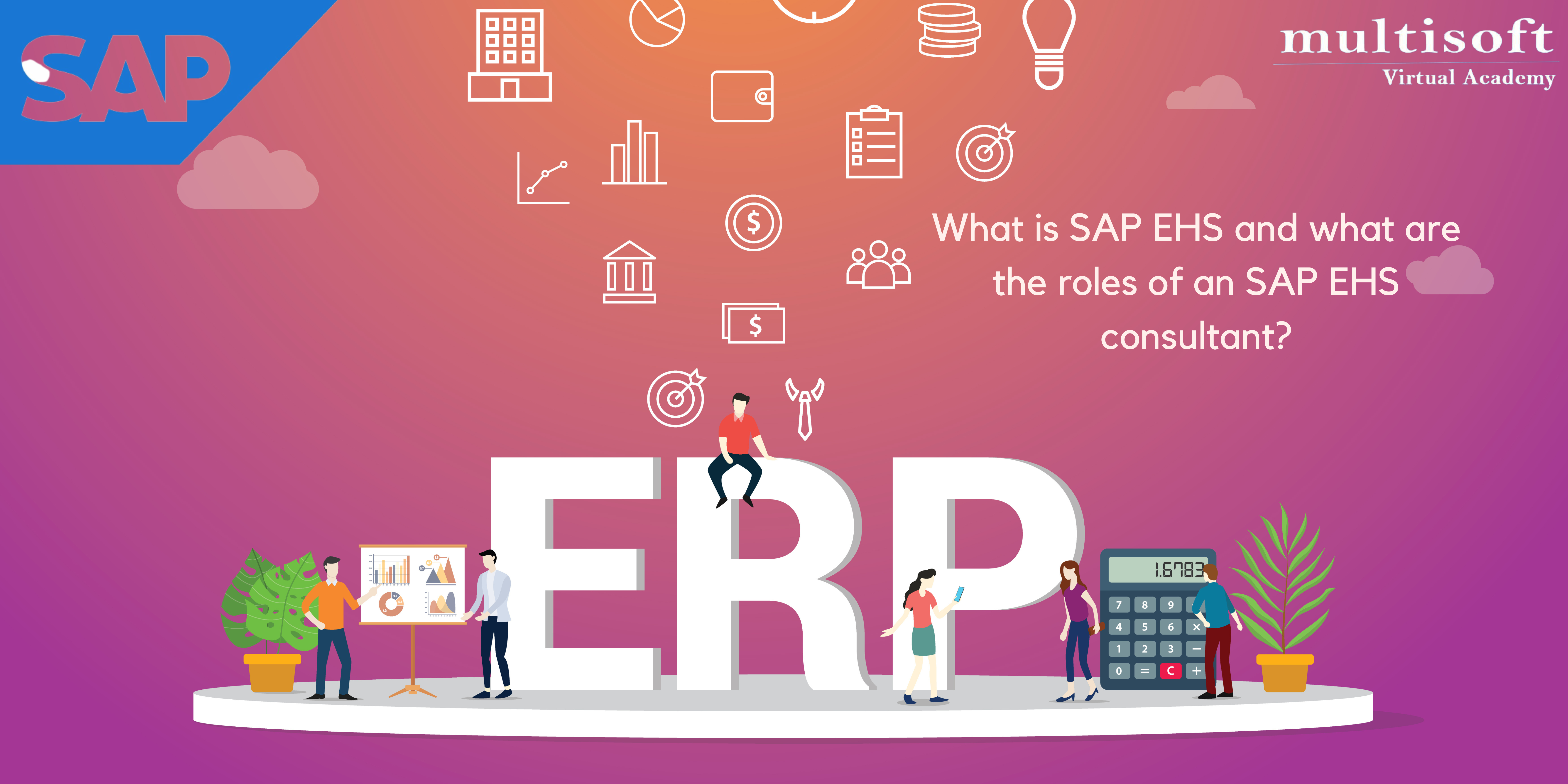 What is SAP EHS and what are the roles of an SAP EHS consultant?