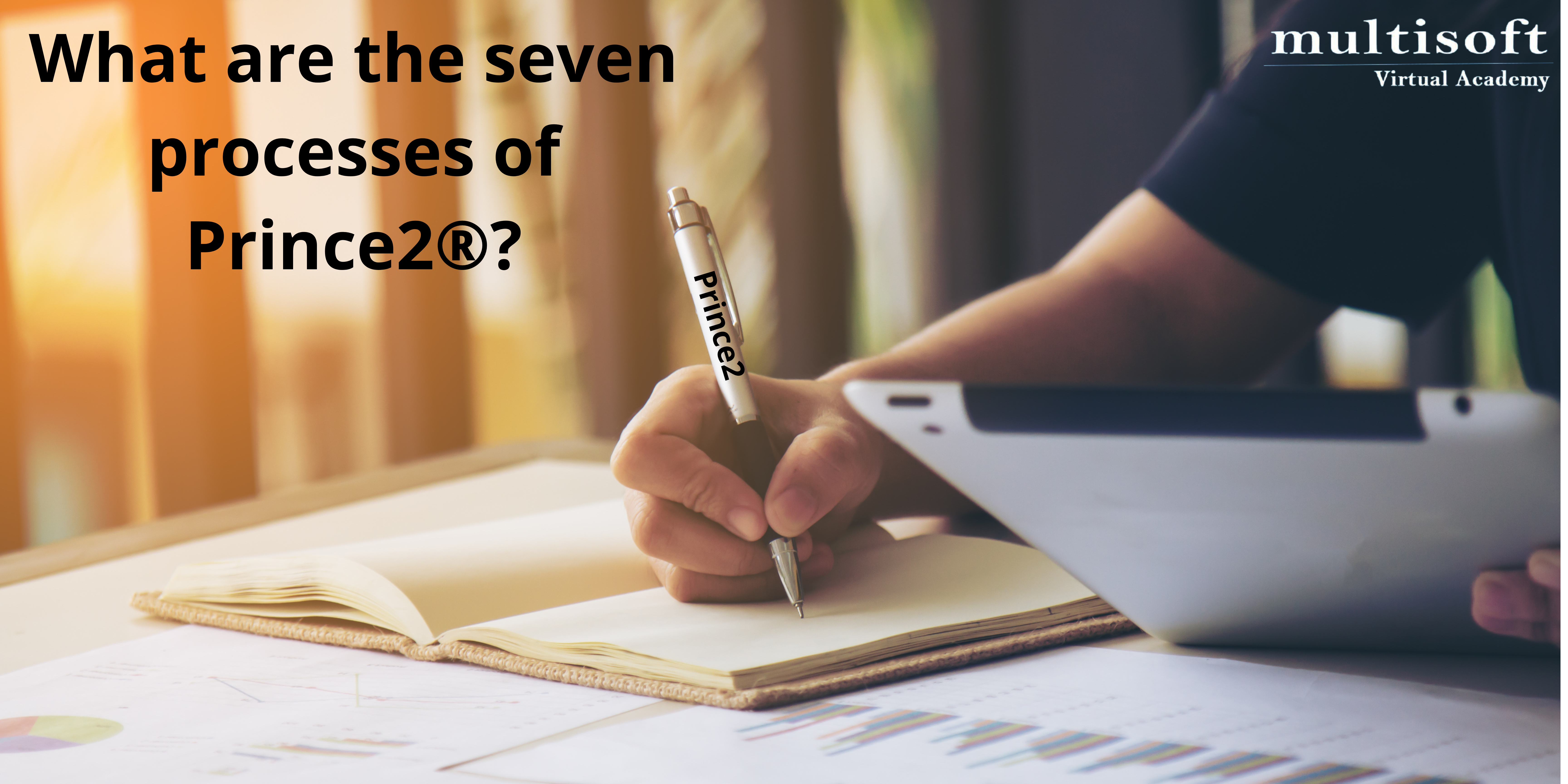 What are the seven processes of Prince2?