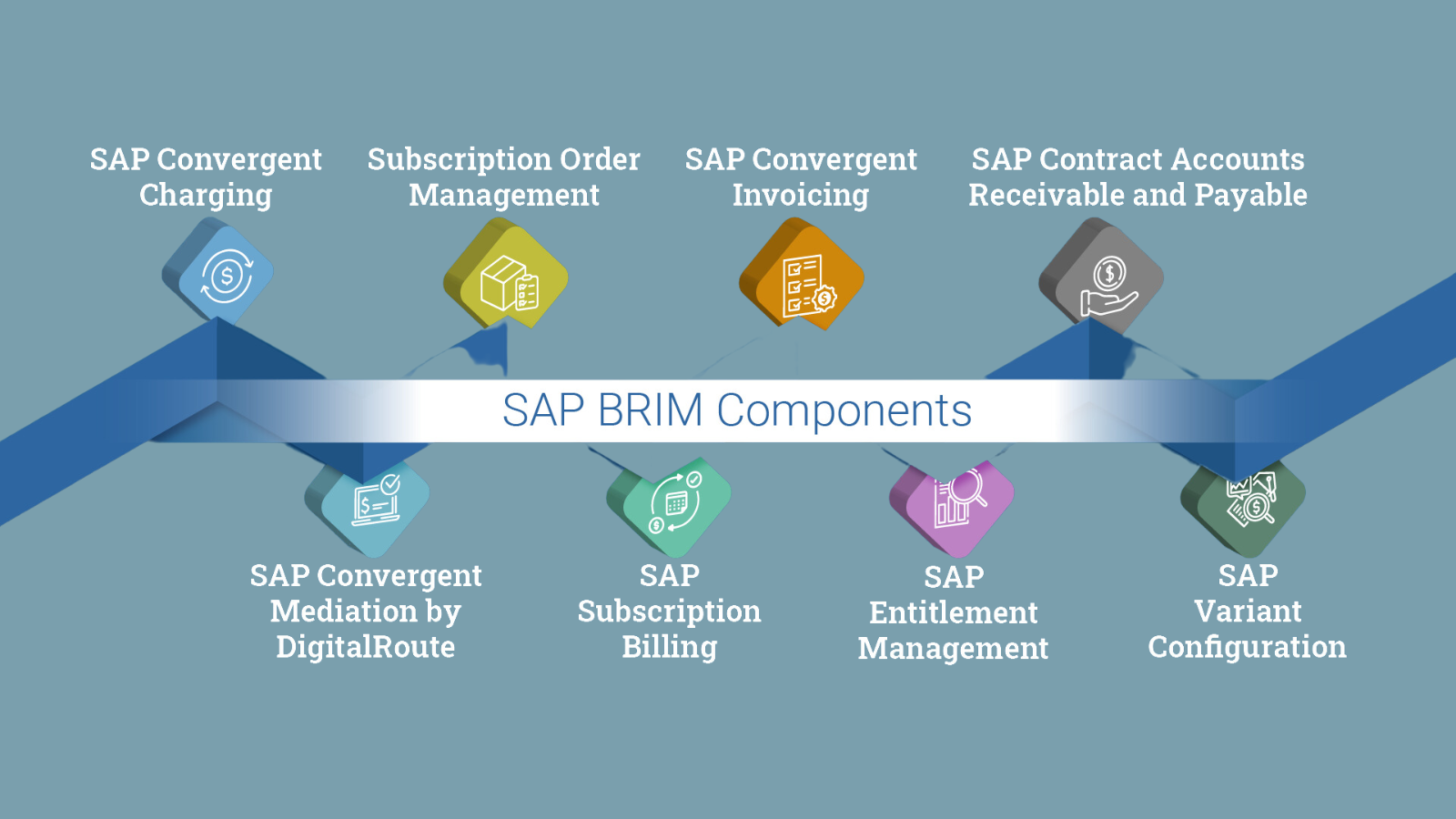 Functions of SAP BRIM