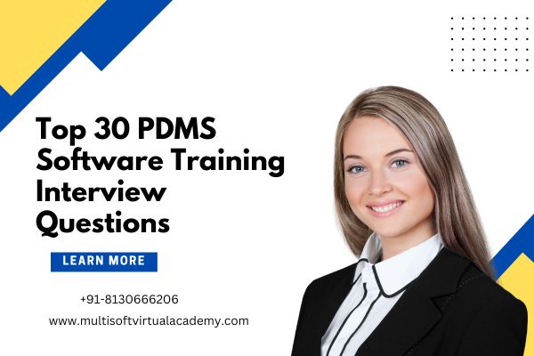 Top 30 PDMS Software Training Interview Questions