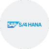 SAP S/4HANA MDG100